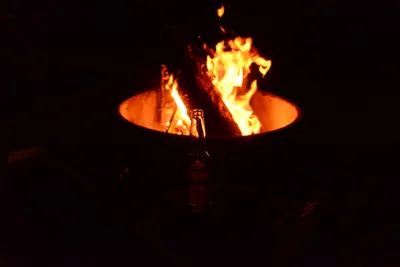 DSC_9885 (Large).JPG